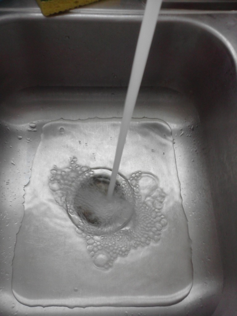 Killer Education How to Revive a Dried Plant I Kill Plants